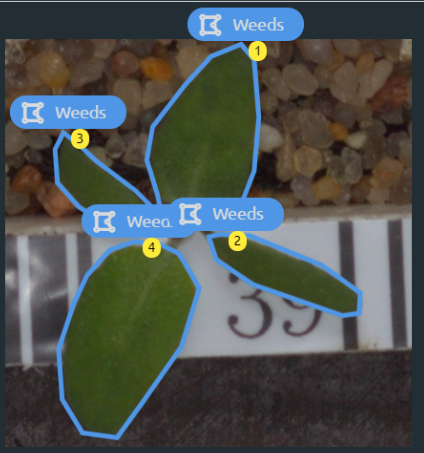 Polygon annotation service from EPIC Translations