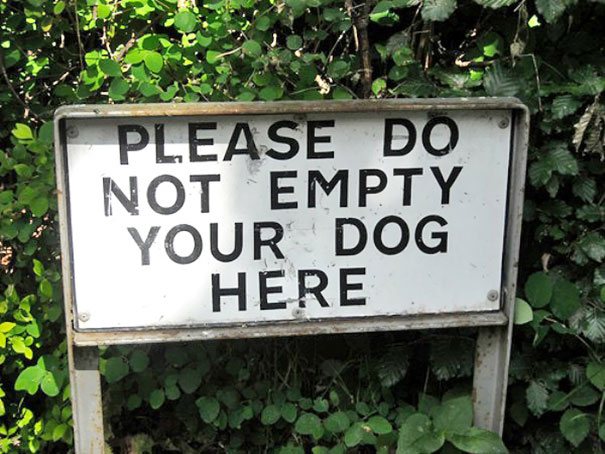 translate English to Chinese