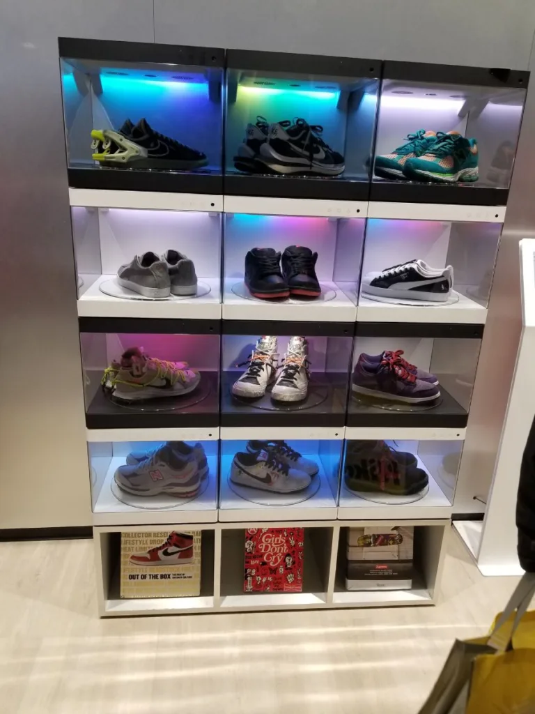 Climate controlled shoe storage cabinet
