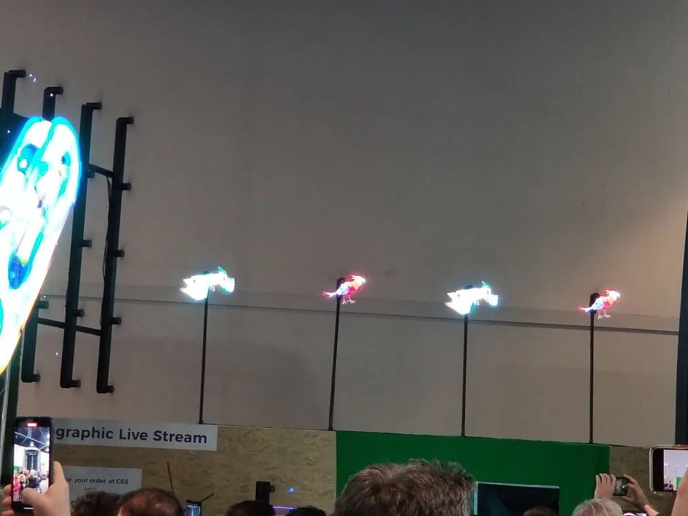 hologram of various birds